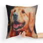 Poduszka Golden Retriever - Poduszka Dekoracyjna